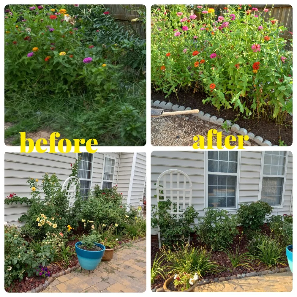 Professional yard maintenance in Indian Trail, NC by Sawdust And Sunflowers