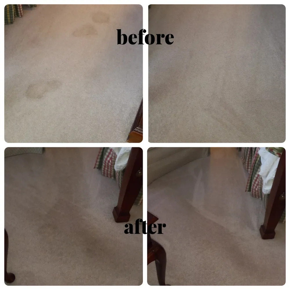 Trusted landscape design experts serving Indian Trail, NC - Sawdust And Sunflowers