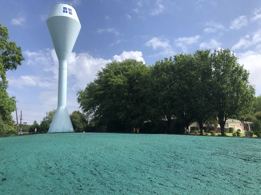 Top-rated residential landscaping for beautiful yards in Wilsonville, AL by Sawgrass Environmental