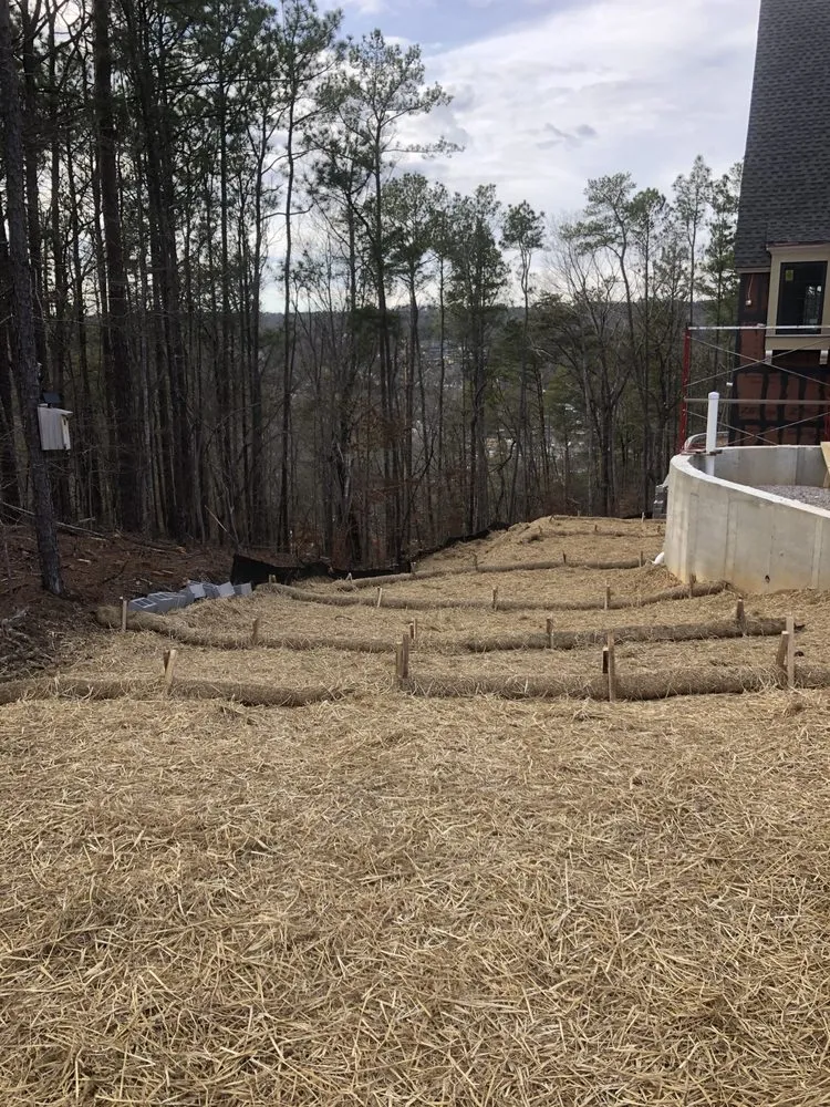 Affordable yard cleanup service in Wilsonville, AL - Sawgrass Environmental