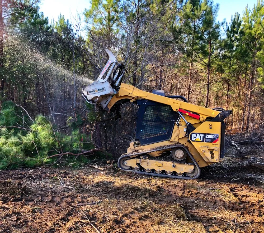 Expert yard cleanup service in Wilsonville, AL by Sawgrass Environmental