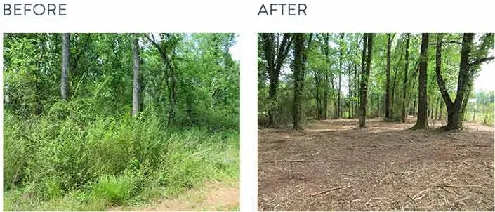 Reliable landscape installation near you in Wilsonville, AL by Sawgrass Environmental