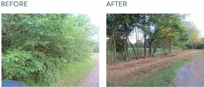 Professional yard cleanup service near you in Wilsonville, AL by Sawgrass Environmental