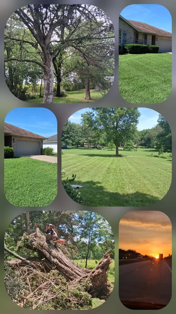 Trusted lawn care service in Ash Grove, MO - Saws 'N' Stripes
