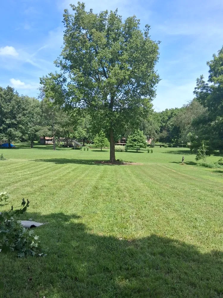 Professional landscaping services experts serving Ash Grove, MO - Saws 'N' Stripes