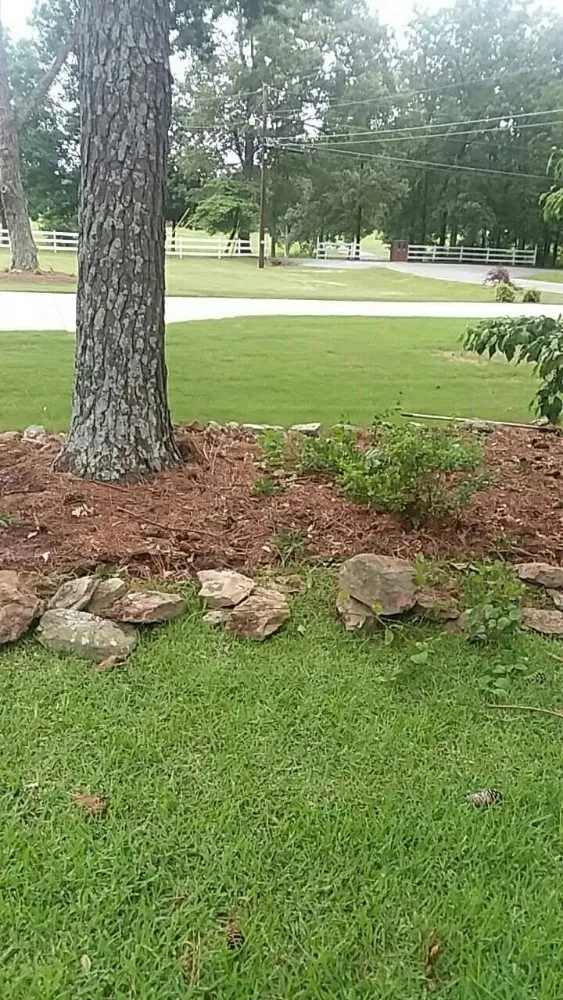 Trusted residential landscaping experts serving Arab, AL - Saws Of Honor Tree And Lawn Service