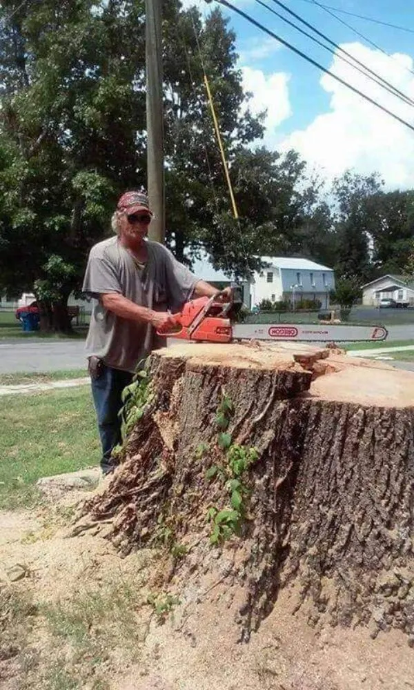 Expert lawn mowing service near you across Arab, AL - Saws Of Honor Tree And Lawn Service