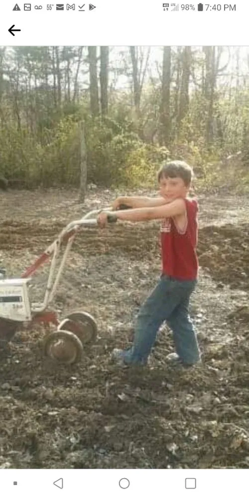 Local landscape installation in Arab, AL - Saws Of Honor Tree And Lawn Service