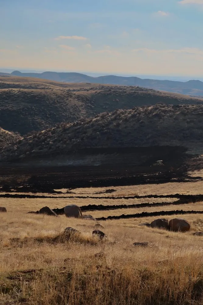 Expert lawn care service for beautiful yards across Nampa, ID - Sawtooth Landworks