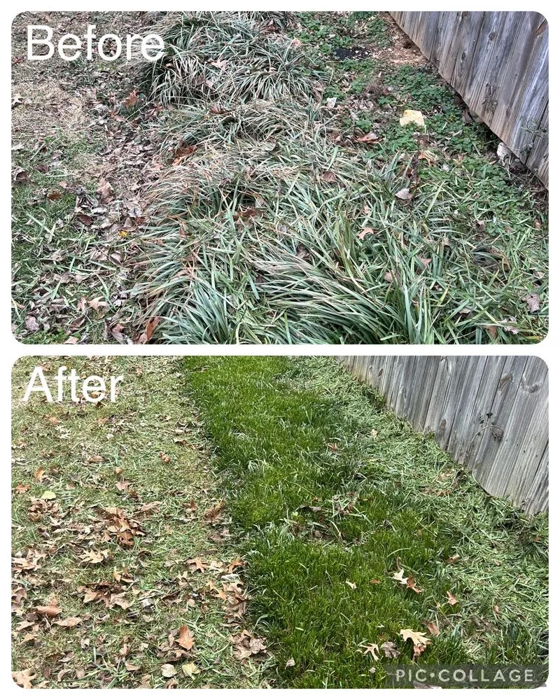 Reliable lawn mowing service for homes in Cave Spring, VA by Sawyer Lawncare