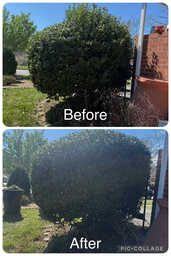 Top-rated landscaping services experts serving Cave Spring, VA - Sawyer Lawncare