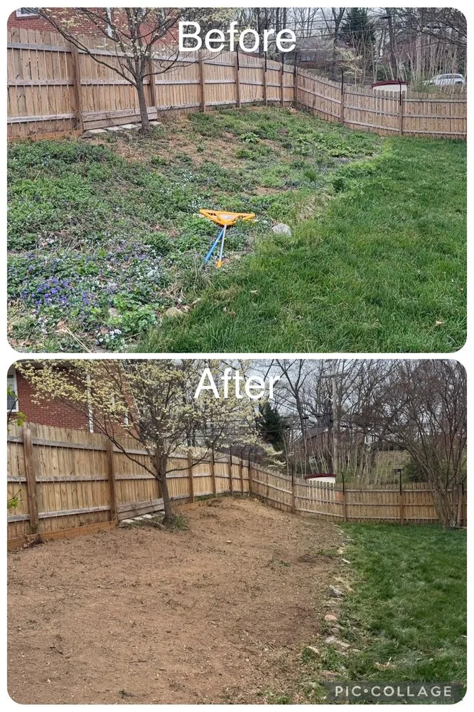 Trusted outdoor landscaping in Cave Spring, VA - Sawyer Lawncare