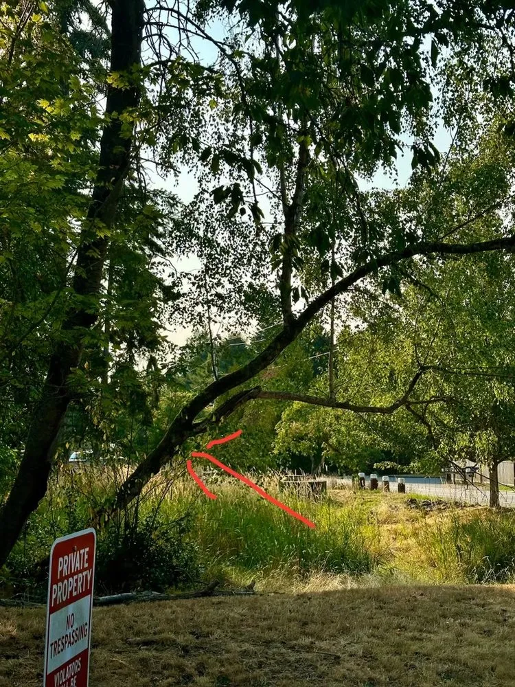 Trusted residential landscaping in Vashon, WA by Sawyers Landscaping and Tree Removal