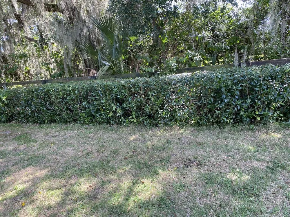 Affordable yard maintenance experts serving Ocala, FL - Sawyers Landscaping Maintenance