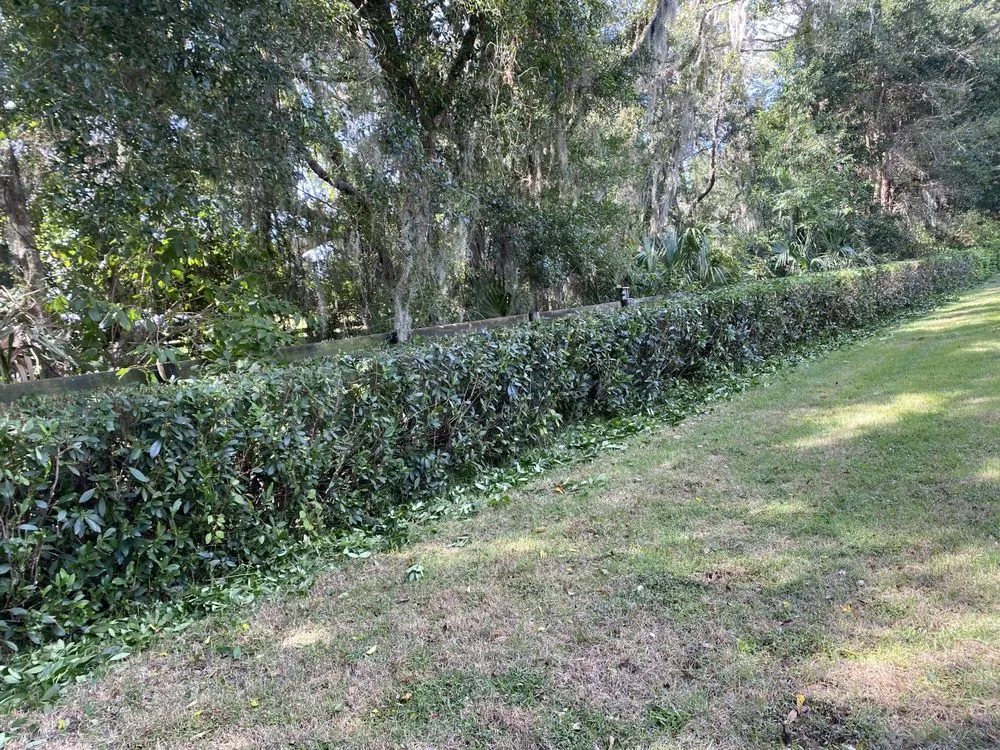 Professional landscaping services with custom design in Ocala, FL by Sawyers Landscaping Maintenance