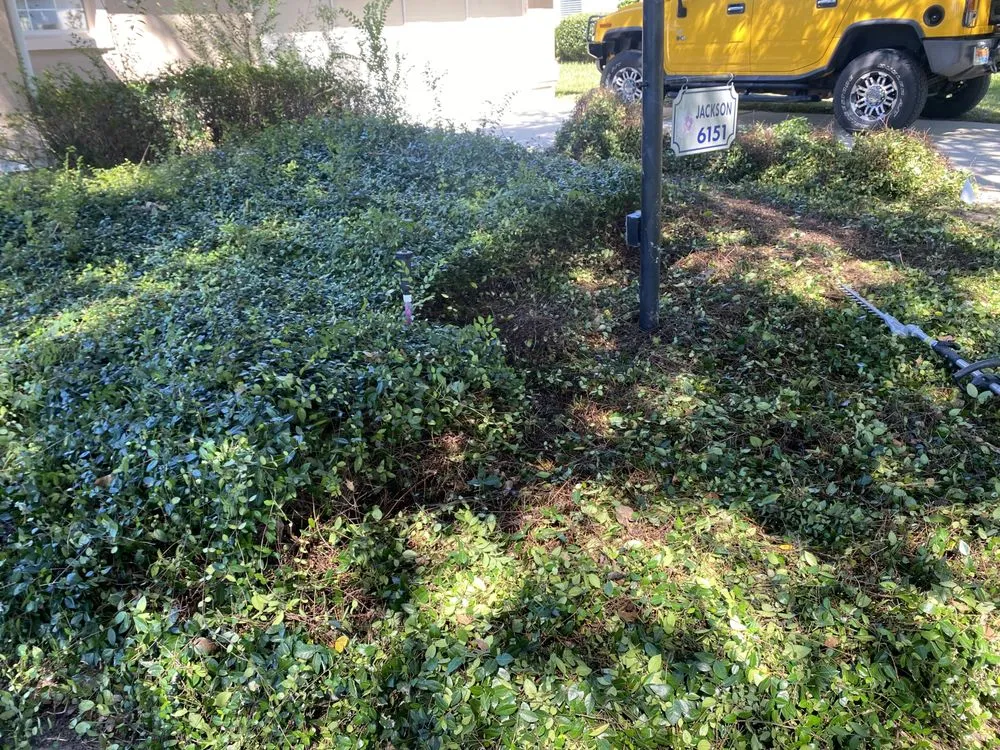 Custom outdoor landscaping in Ocala, FL by Sawyers Landscaping Maintenance