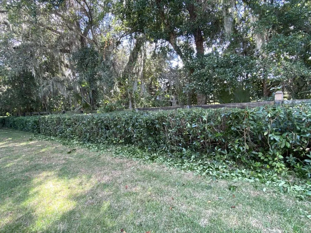 Local yard maintenance in Ocala, FL - Sawyers Landscaping Maintenance