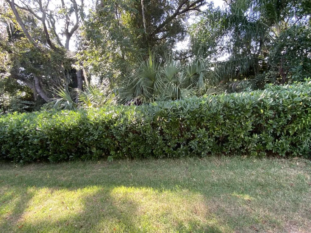 Reliable residential landscaping near you across Ocala, FL - Sawyers Landscaping Maintenance