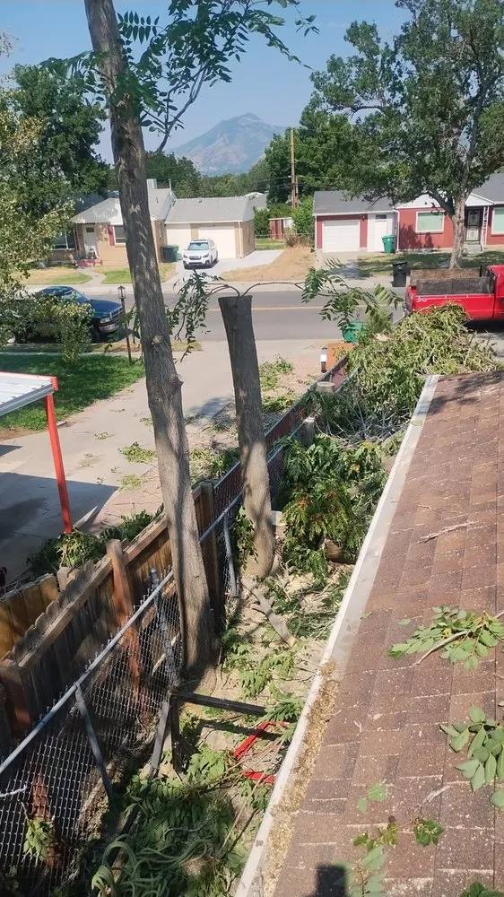 Affordable lawn mowing service for beautiful yards across Taylorsville, UT - Sawyer's Tree Service