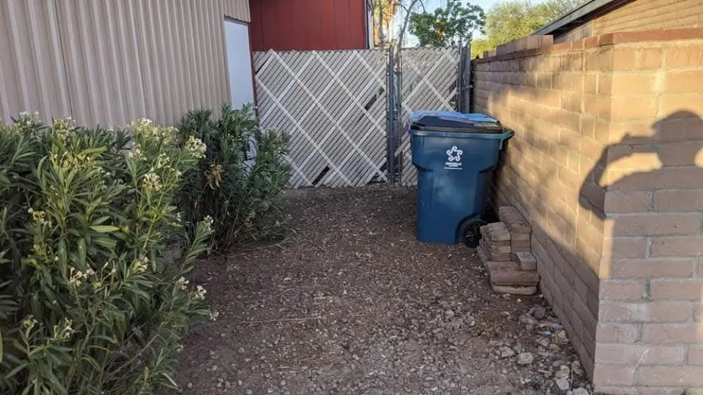 Trusted yard maintenance in Tucson, AZ - Say Less Cleaning and Landscape