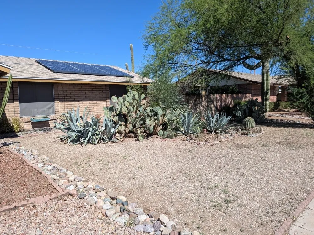 Expert yard maintenance experts serving Tucson, AZ - Say Less Cleaning and Landscape