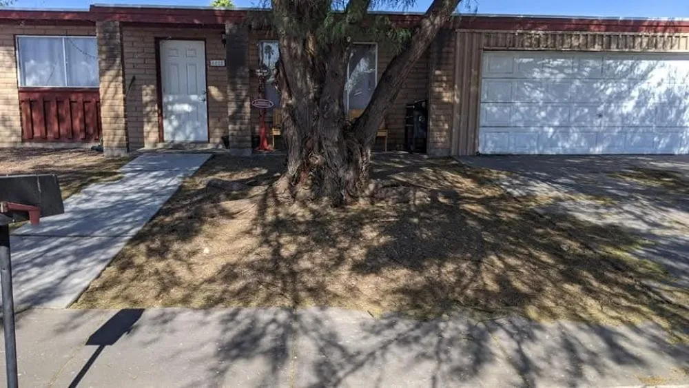 Professional landscape design for outdoor upgrades across Tucson, AZ - Say Less Cleaning and Landscape