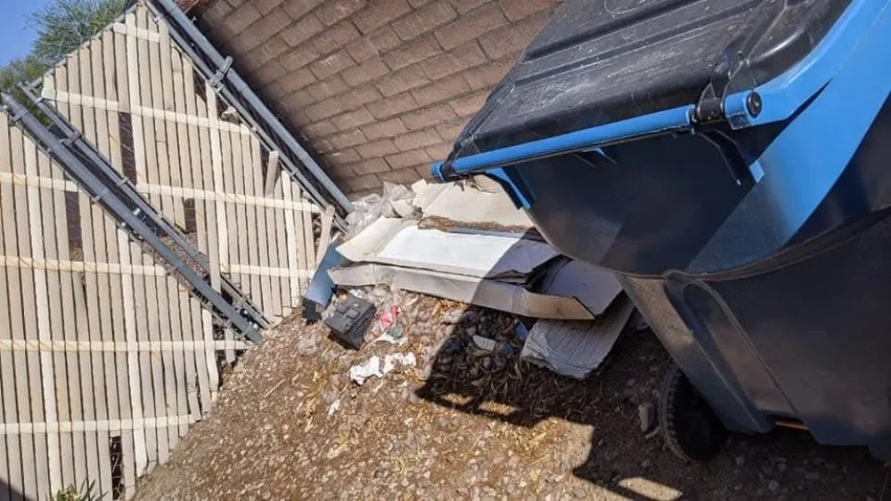 Local landscape installation with custom design in Tucson, AZ by Say Less Cleaning and Landscape