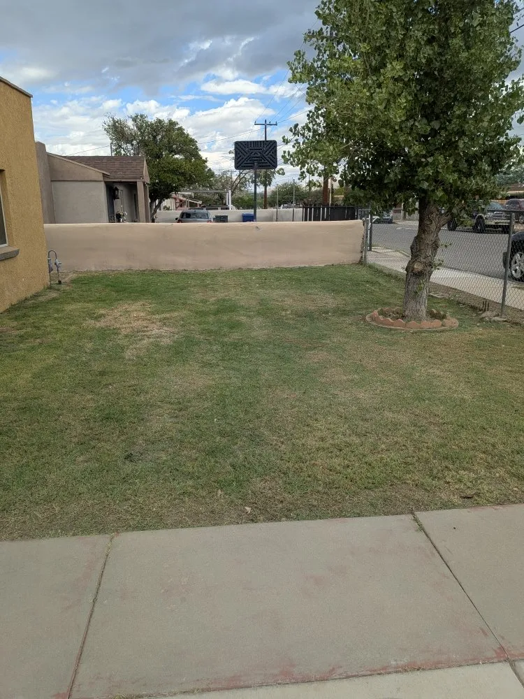 Local landscape installation for beautiful yards in Tucson, AZ by Say Less Cleaning and Landscape