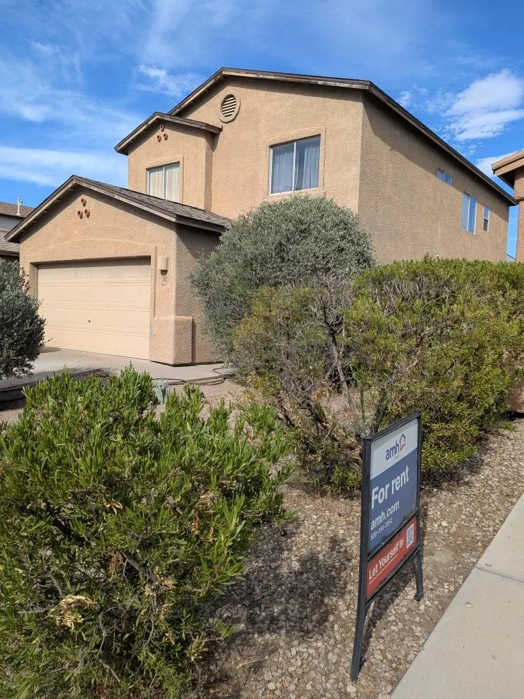 Professional outdoor landscaping in Tucson, AZ - Say Less Cleaning and Landscape