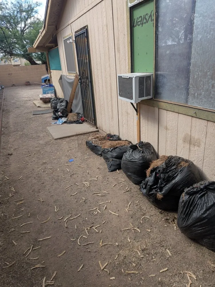 Reliable outdoor landscaping in Tucson, AZ by Say Less Cleaning and Landscape