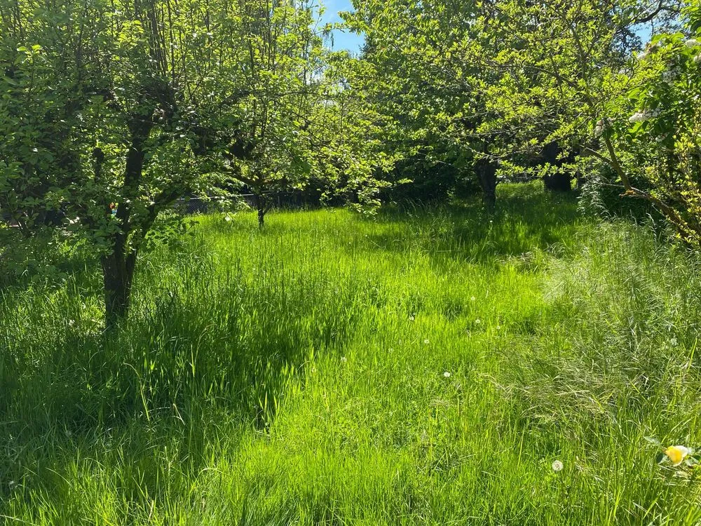 Professional landscape installation in Gresham, OR - Say No More Lawn Care