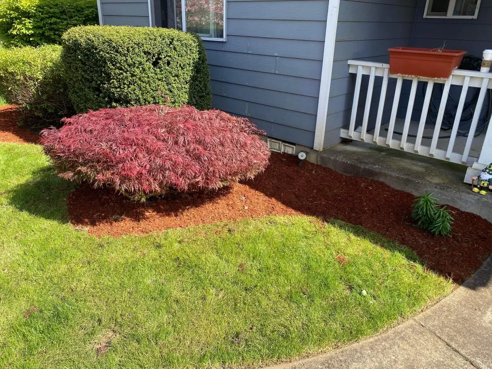 Professional lawn care service in Gresham, OR - Say No More Lawn Care