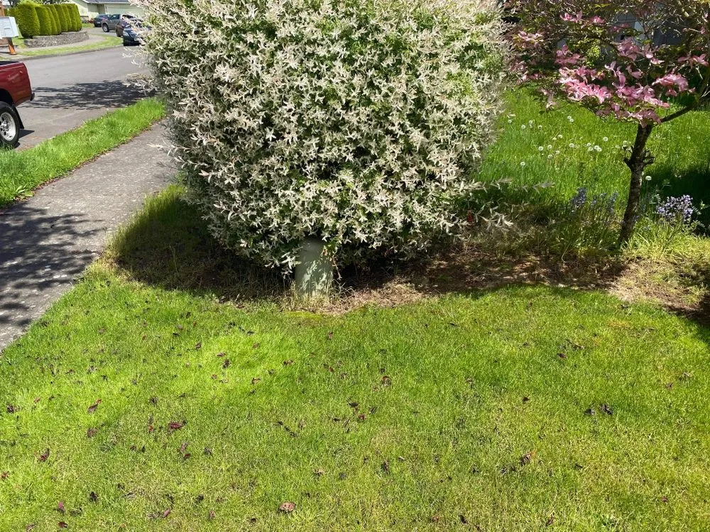 Trusted residential landscaping for residential properties across Gresham, OR - Say No More Lawn Care