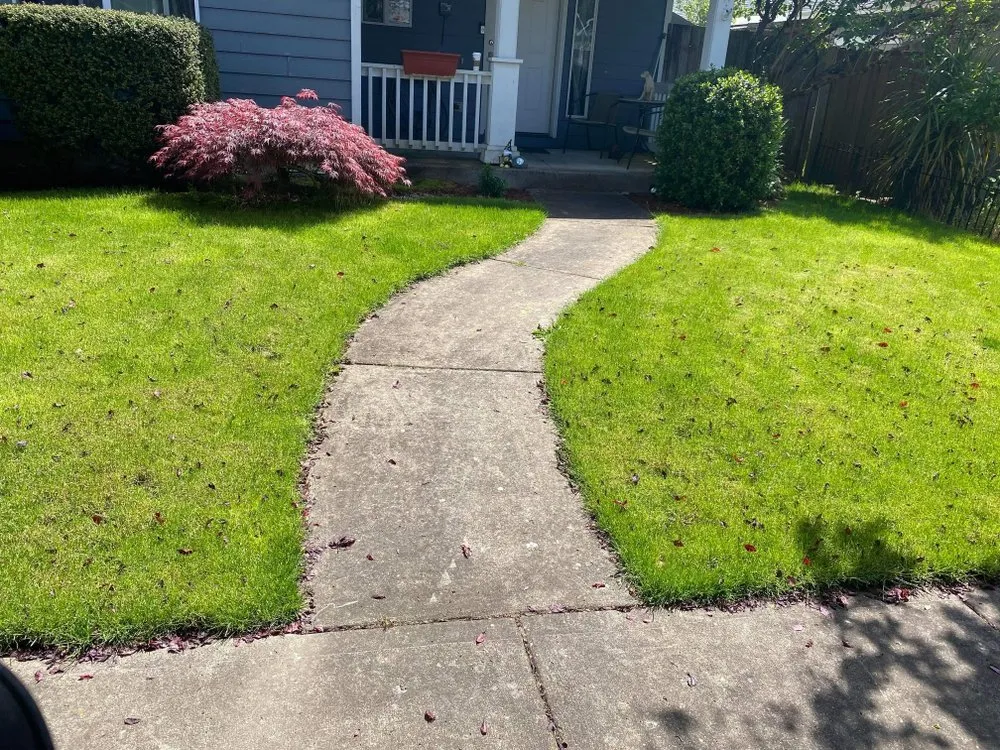 Custom landscaping services for outdoor upgrades in Gresham, OR by Say No More Lawn Care