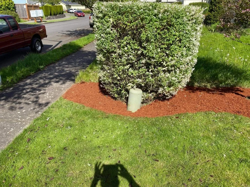 Trusted yard cleanup service experts serving Gresham, OR - Say No More Lawn Care