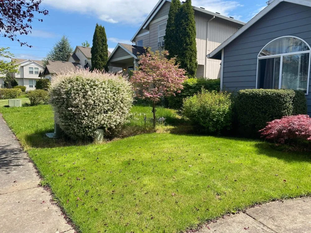 Trusted landscaping services experts serving Gresham, OR - Say No More Lawn Care