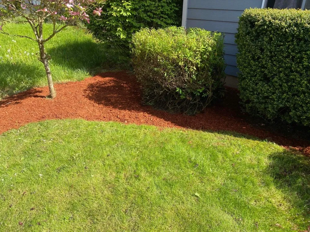 Trusted yard maintenance in Gresham, OR by Say No More Lawn Care