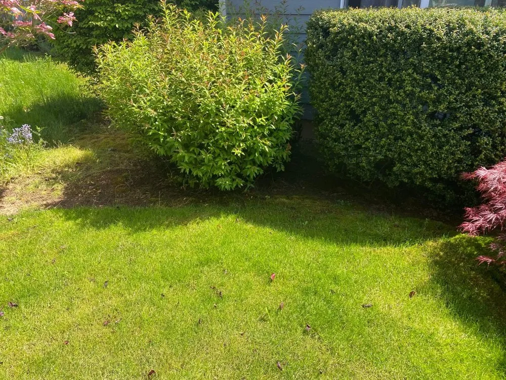 Custom lawn care service in Gresham, OR - Say No More Lawn Care