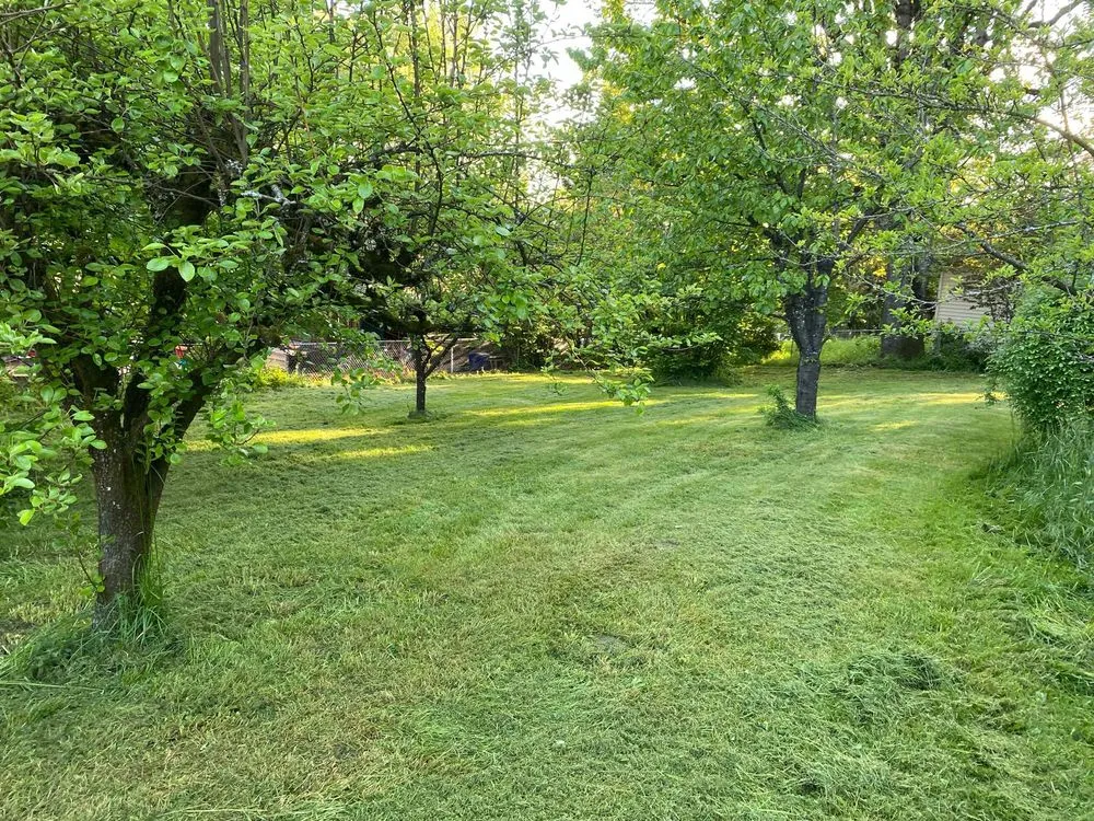 Reliable landscaping services experts serving Gresham, OR - Say No More Lawn Care