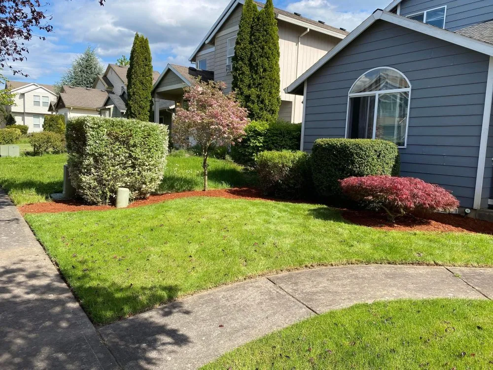 Affordable residential landscaping with custom design in Gresham, OR by Say No More Lawn Care