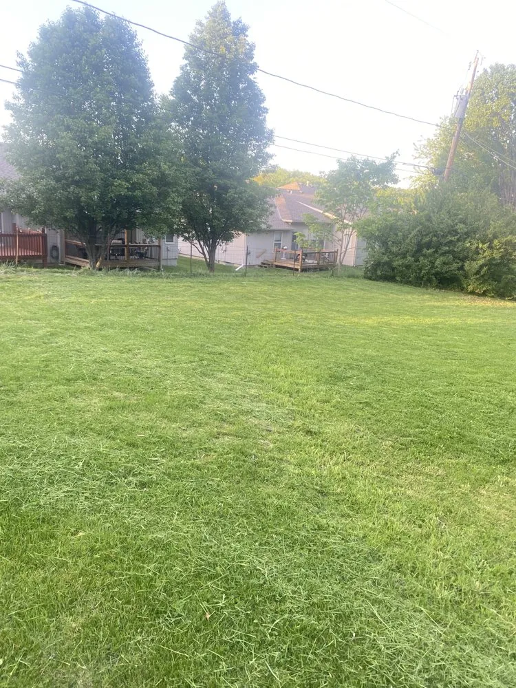 Top-rated lawn mowing service in Parkville, MO - Sayless Lawncare & More