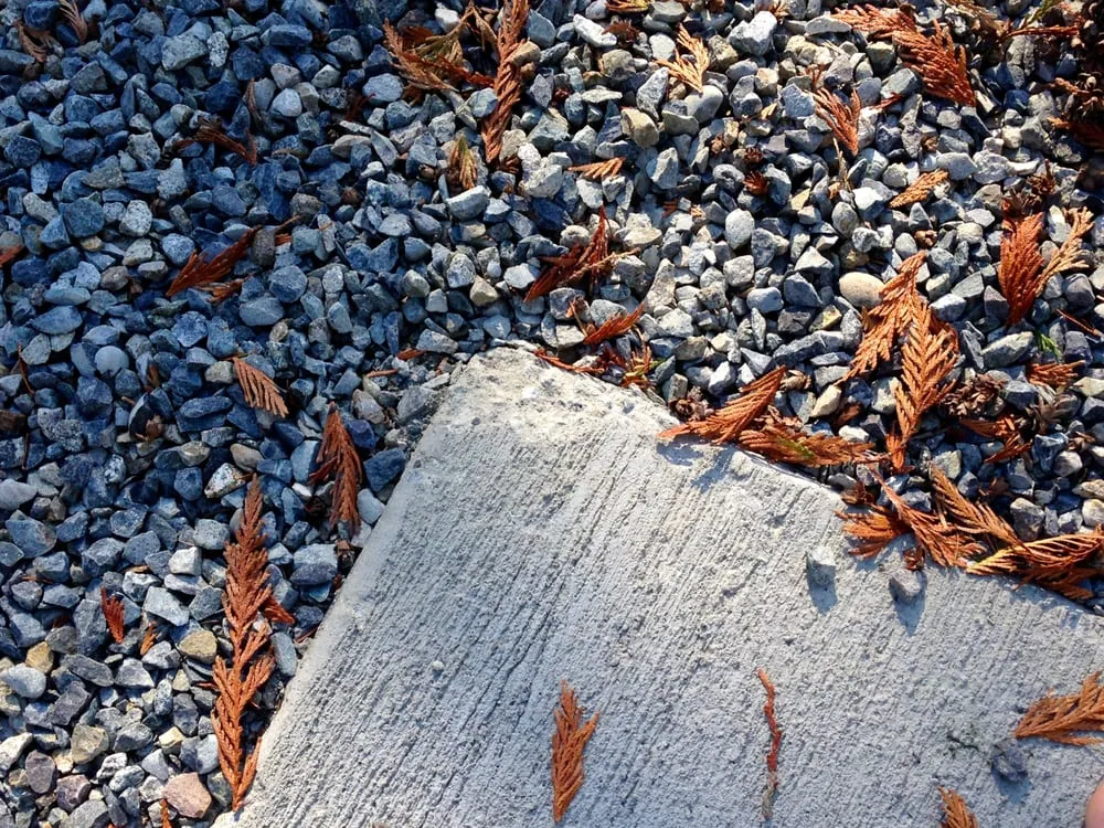 Top-rated outdoor landscaping experts serving Maple Valley, WA - Saylor Landscaping