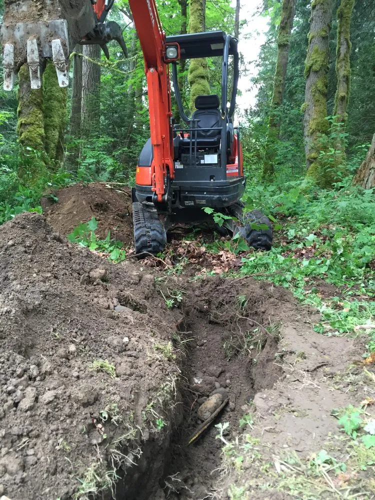 Custom lawn mowing service in Maple Valley, WA by Saylor Landscaping