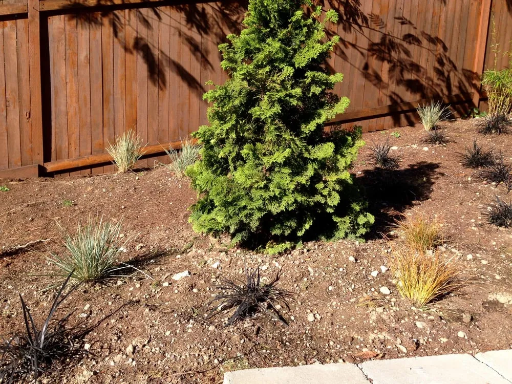 Top-rated yard cleanup service in Maple Valley, WA - Saylor Landscaping