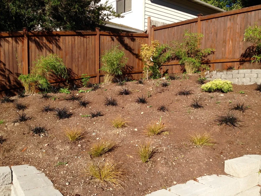 Local landscape installation for homes across Maple Valley, WA - Saylor Landscaping