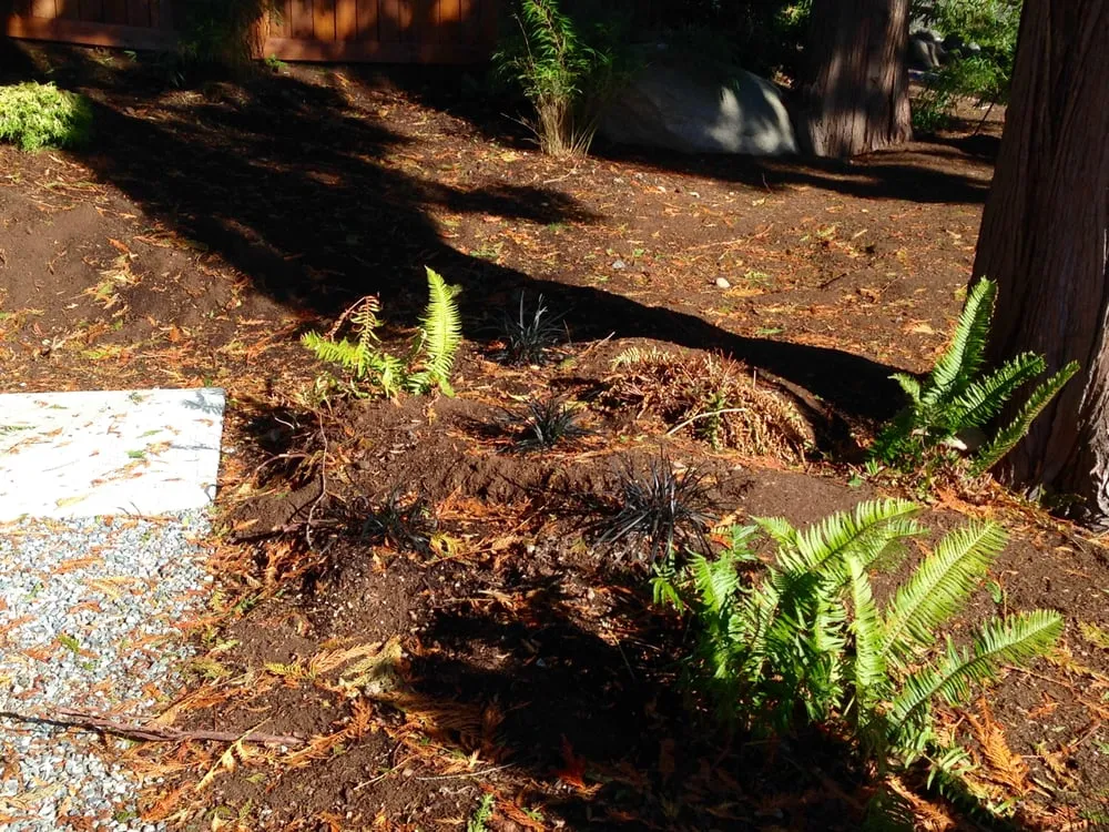 Top-rated garden landscaping in Maple Valley, WA - Saylor Landscaping