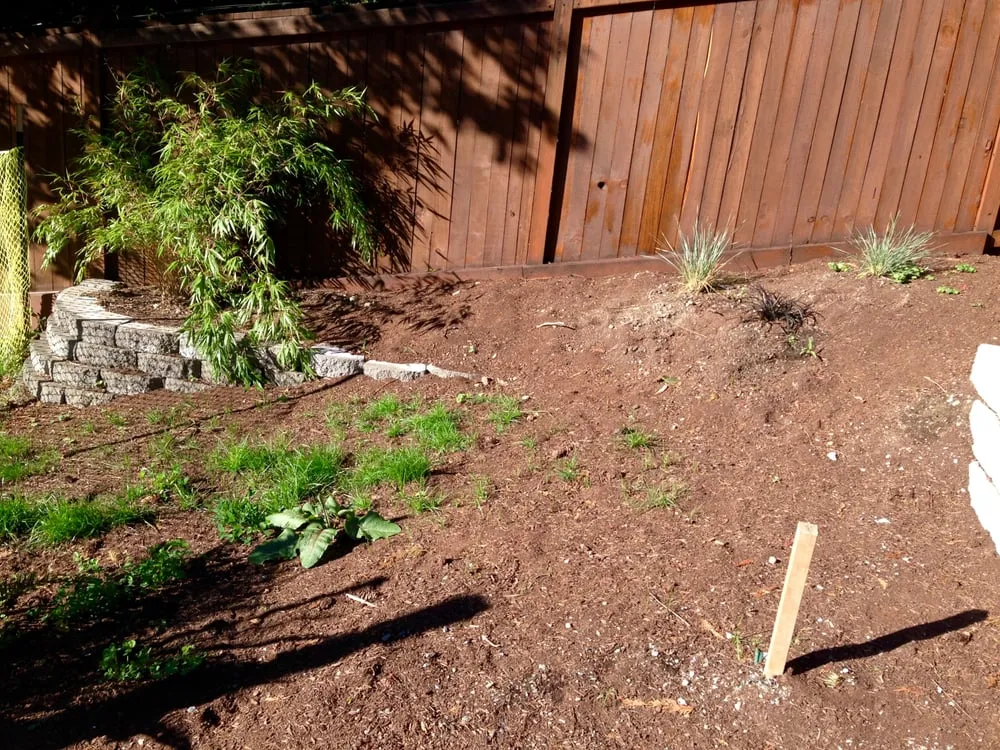 Professional landscape installation for homes in Maple Valley, WA by Saylor Landscaping