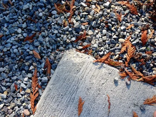 Saylor Landscaping Logo