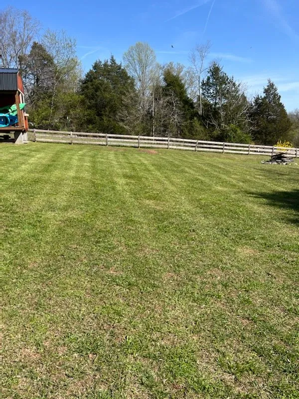 Custom lawn care service experts serving Sparta, TN - Saylors Lawn Care