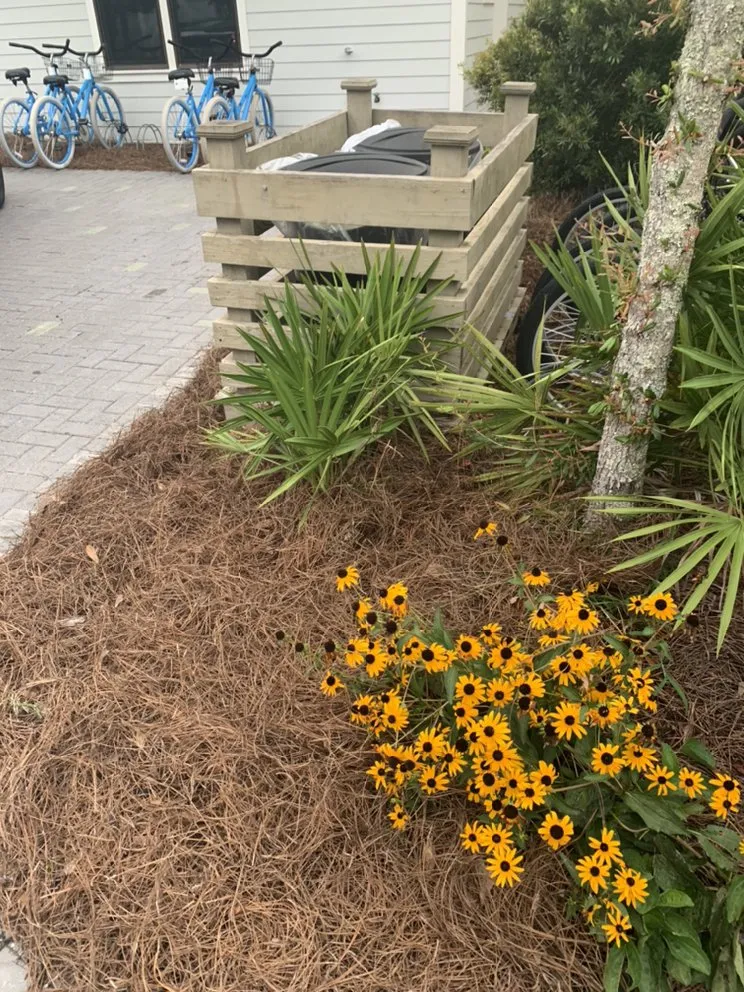 Expert landscape design in DeFuniak Springs, FL - Sayres Lawn and Landscaping